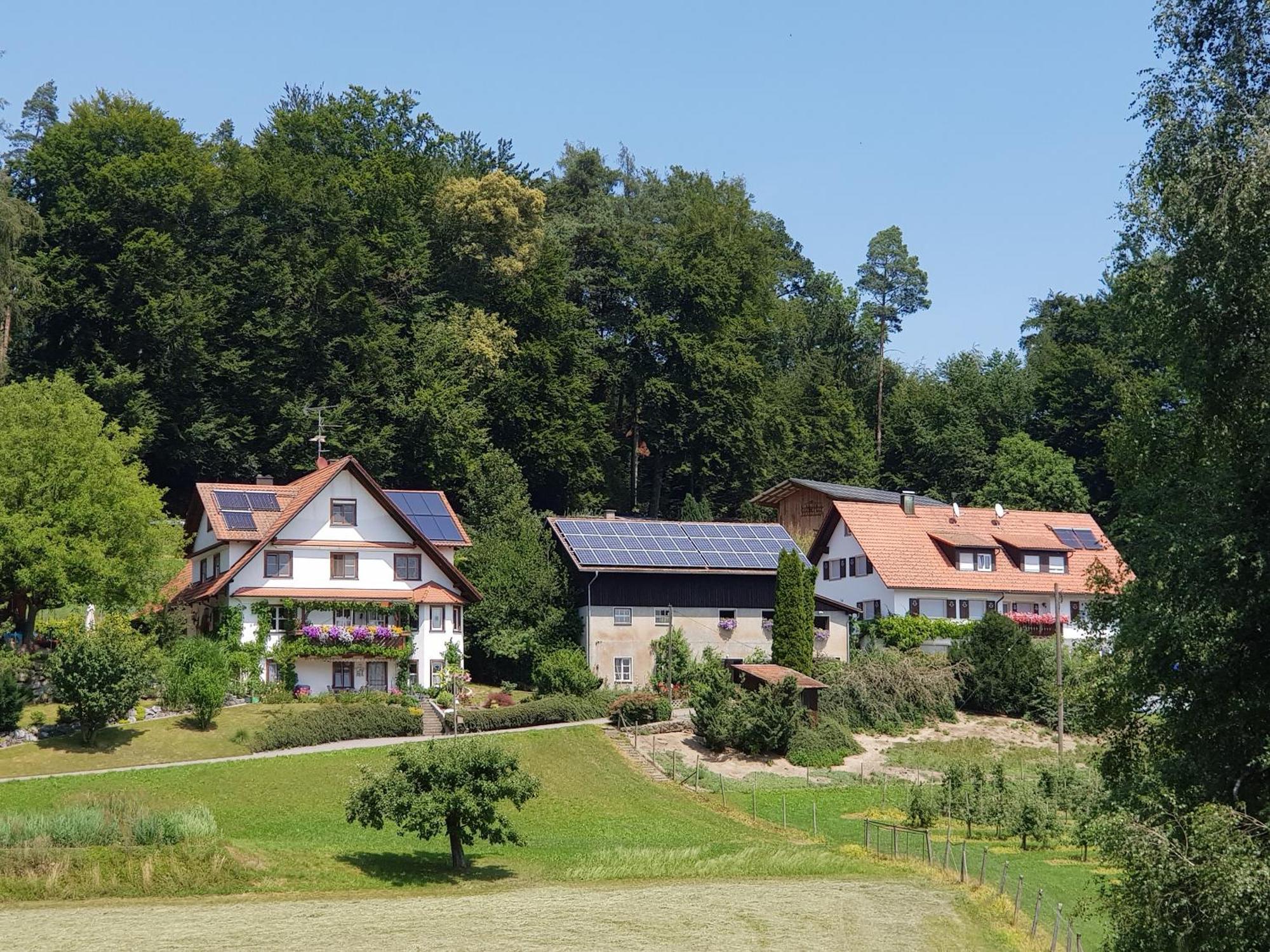 Ferienwohnung Sonnenschein Unterreitnau ภายนอก รูปภาพ